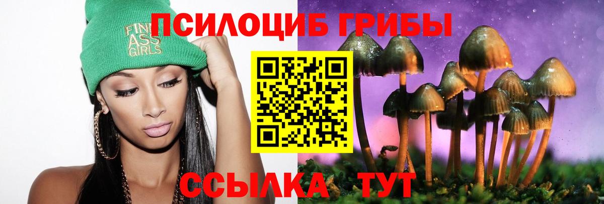 Галлюциногенные грибы Cubensis Долгопрудный